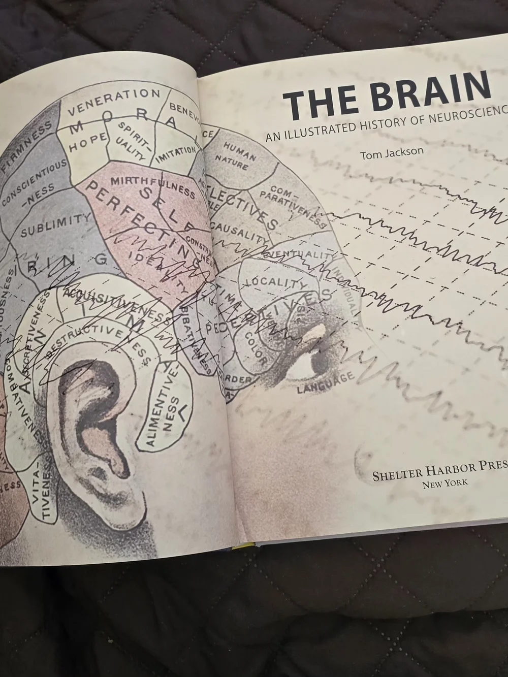 The Brain ~ 100 Discoveries That Changed History - White Hardcover Book
